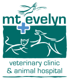 mt evelyn vet clinic